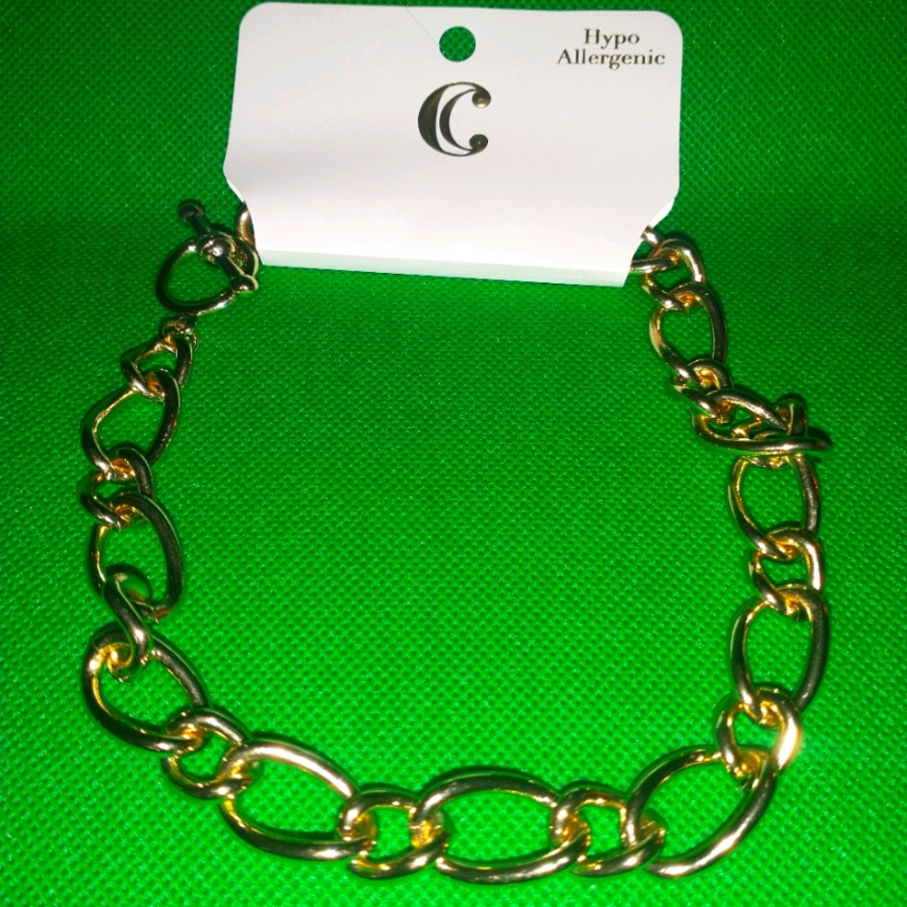 Charming Charlie Chain Necklace